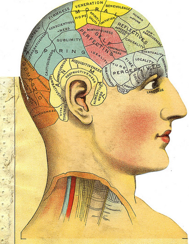 Phrenology head from The Household Physician, 1905