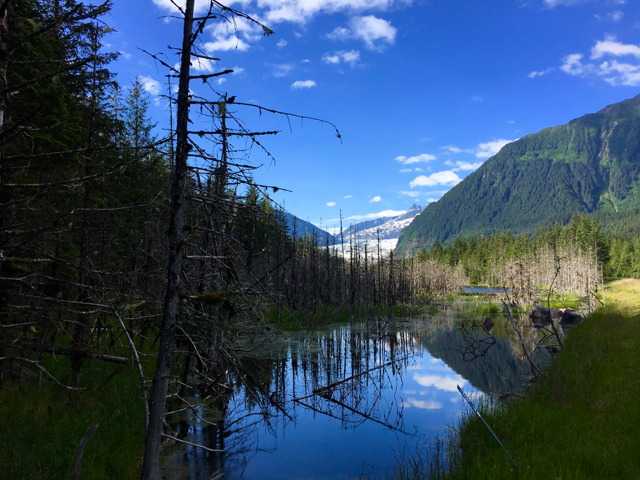 Reflection on Alaska Studies